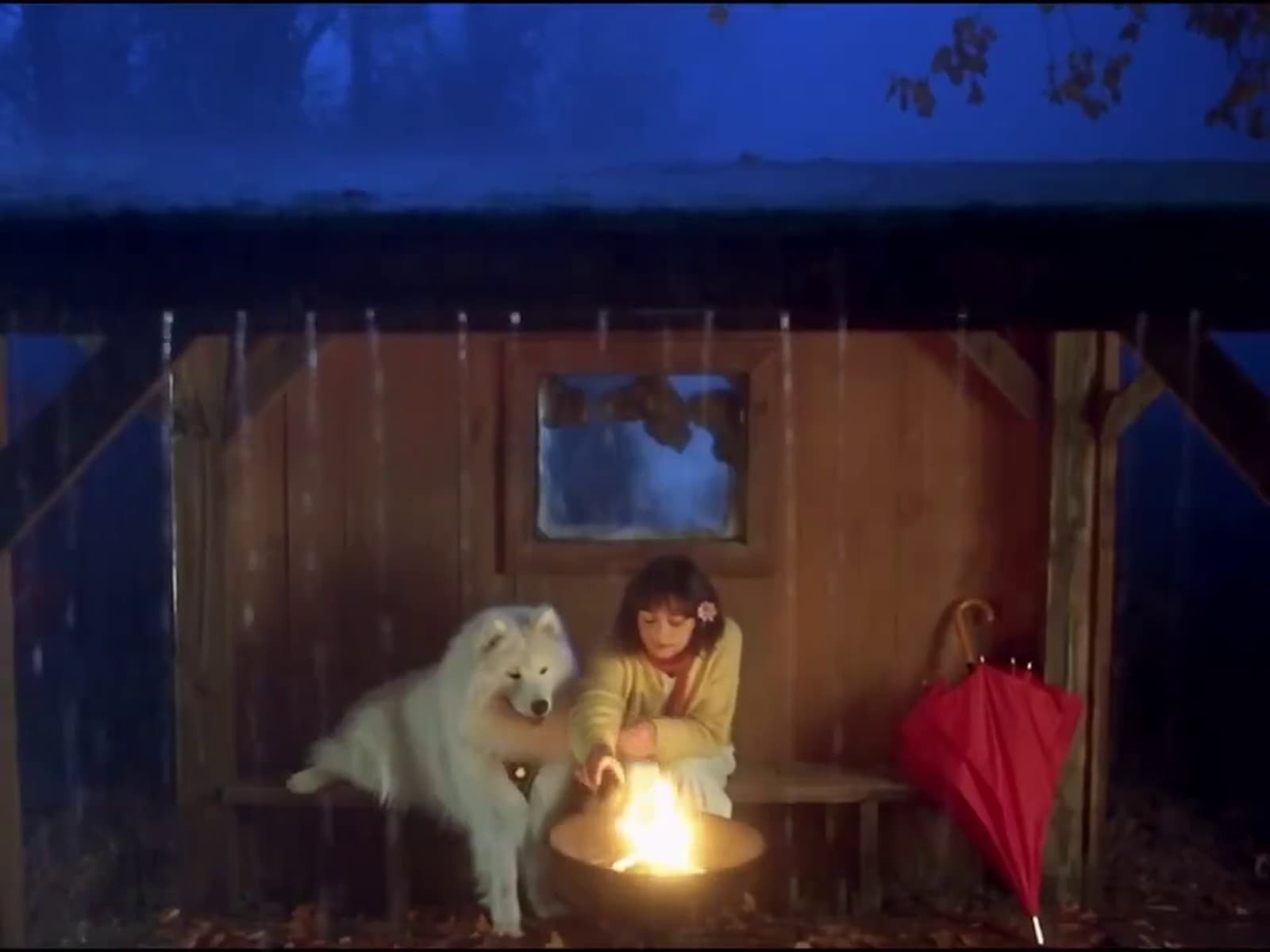 A girl, her dog, one rainy day