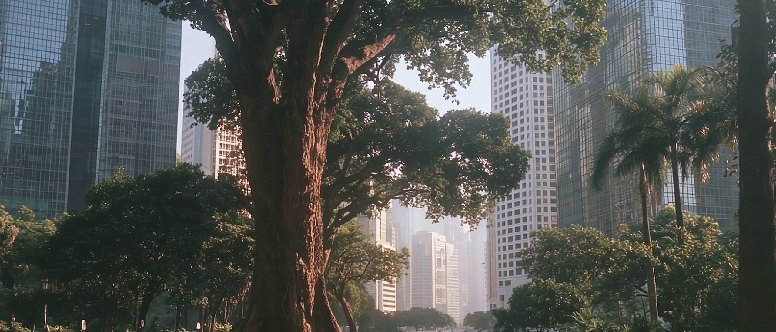 A sunlit downtown park with a huge old tree at its center, scooters parked in its shade on the grass, palm trees and glass skyscrapers rising behind